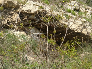 Grotte Castellucciane Ossena